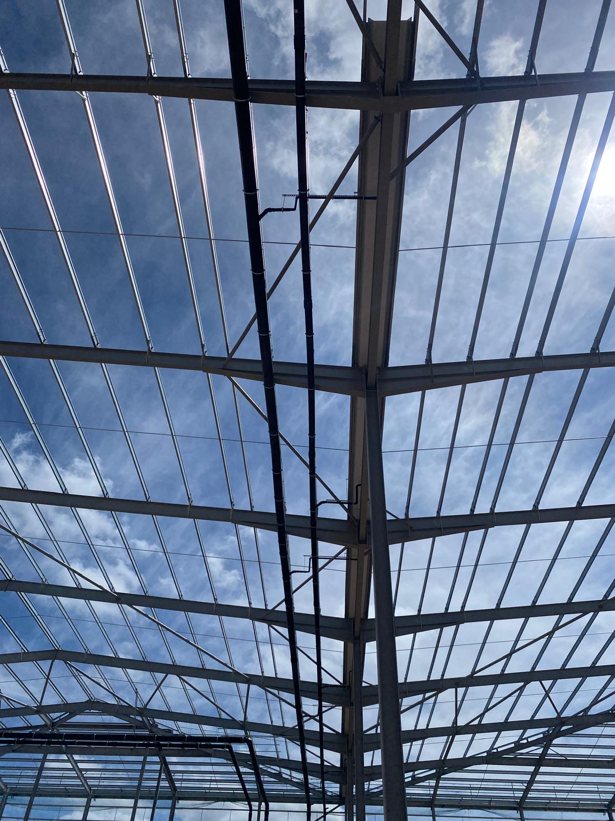 Project additional image